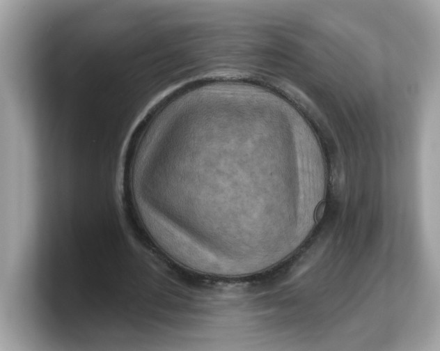 X0000103240484200809181547