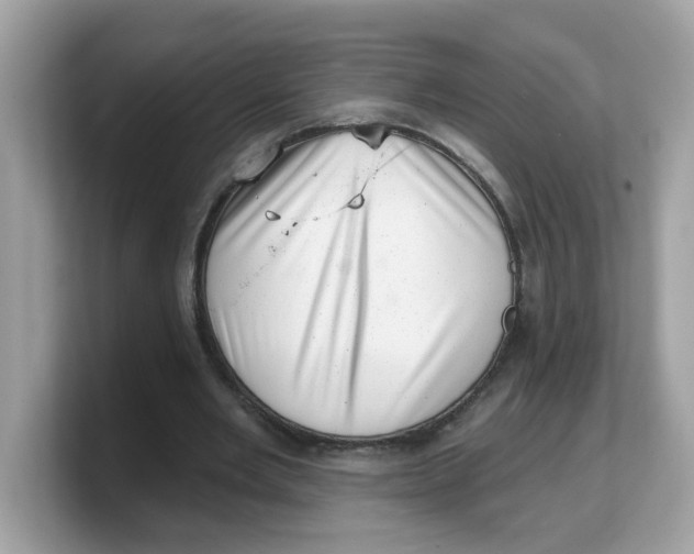 X0000103240485200809181547