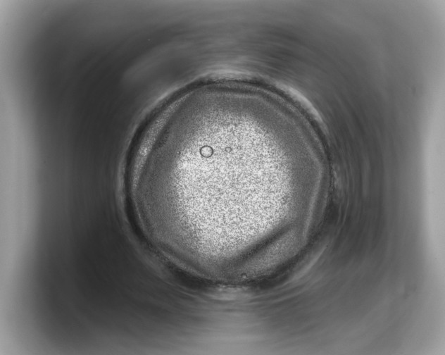 X0000103240487200809181547