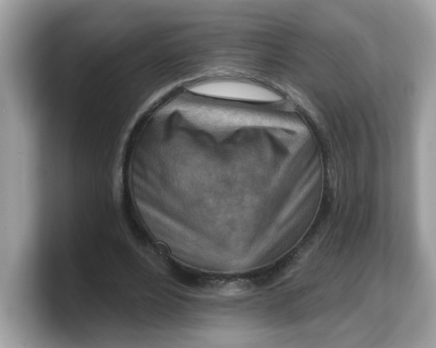 X0000103240488200809181547