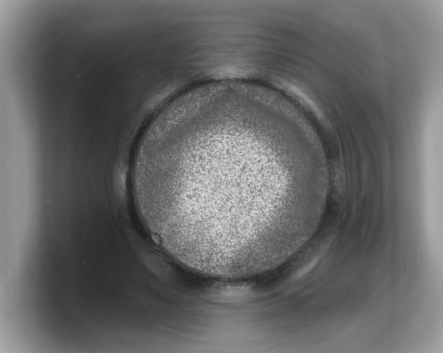 X0000103240491200809181547