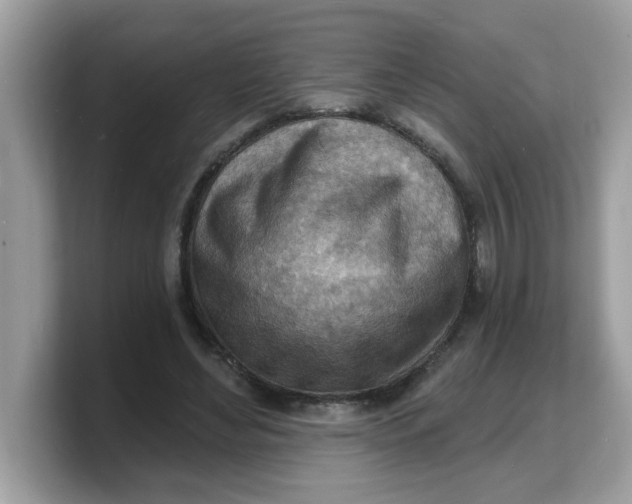 X0000103240492200809181547