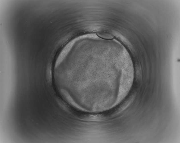 X0000103240493200809181547