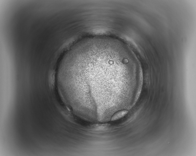 X0000103240495200809181547