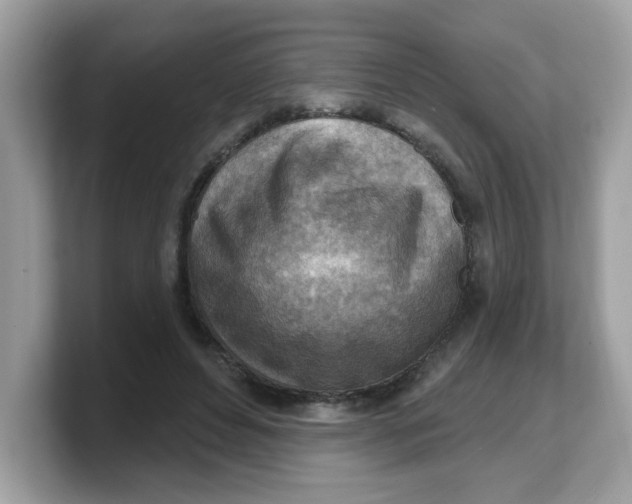 X0000103240496200809181547