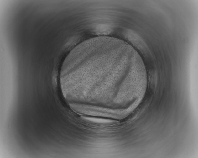 X0000103240501200809181547