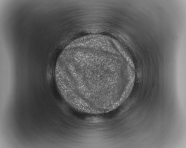 X0000103240503200809181547