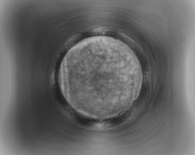 X0000103240504200809181547