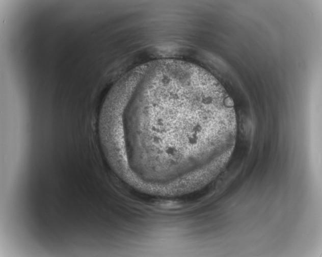 X0000103240507200809181547