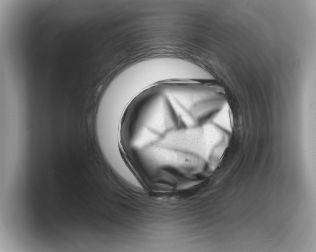 X0000103240508200809181547