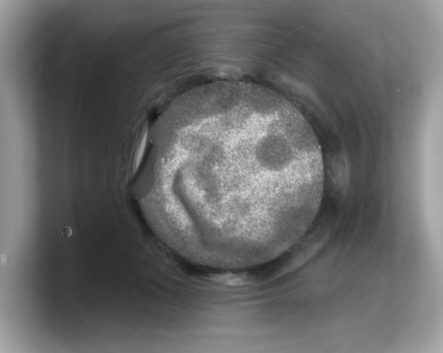 X0000103240511200809181547