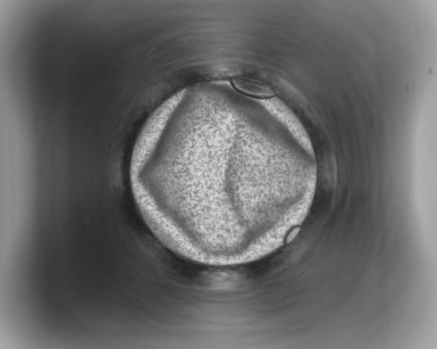 X0000103240512200809181546