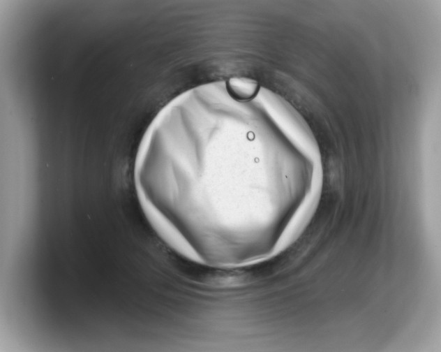 X0000103240514200809181546