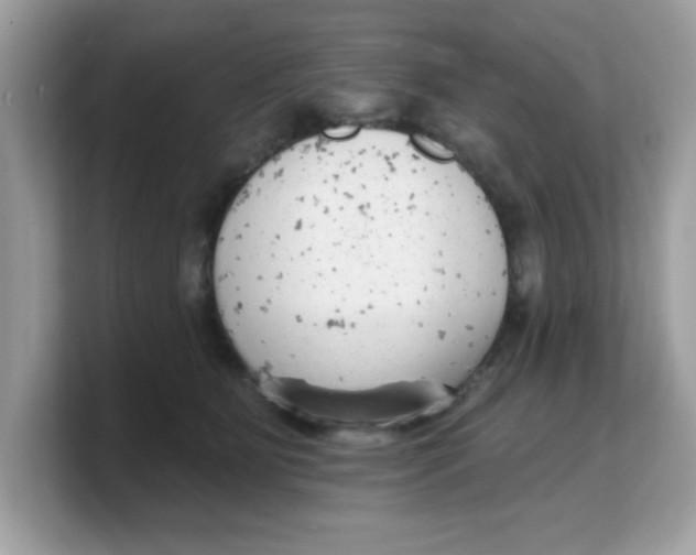 X0000103240515200809181546