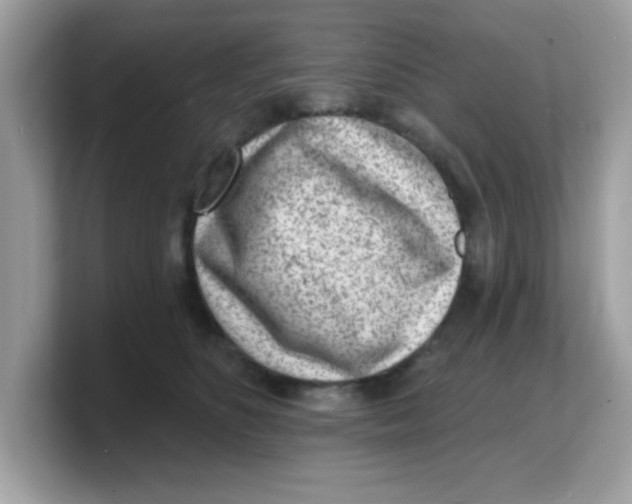 X0000103240516200809181546