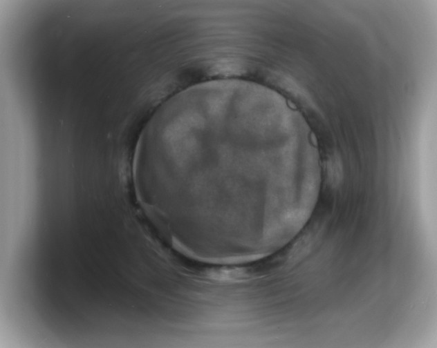 X0000103240517200809181546