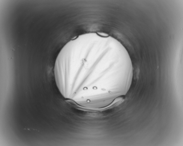 X0000103240521200809181546