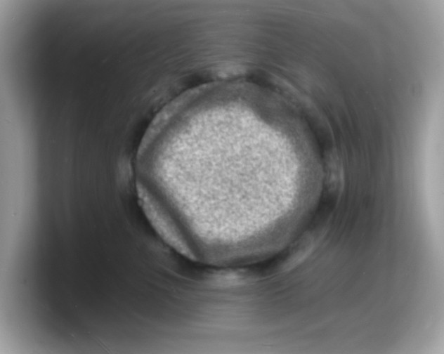 X0000103240523200809181546