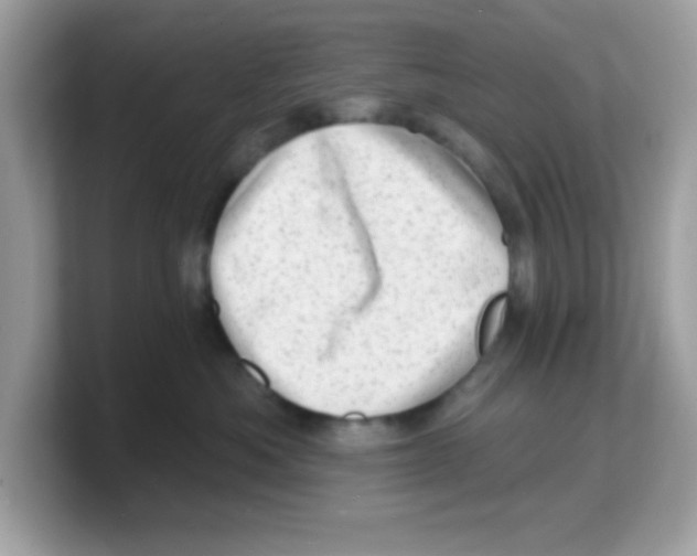 X0000103240525200809181546