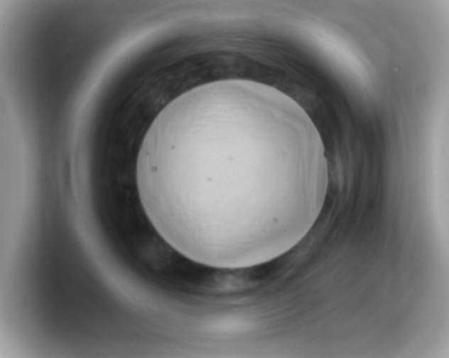 X0000103240526200809181546