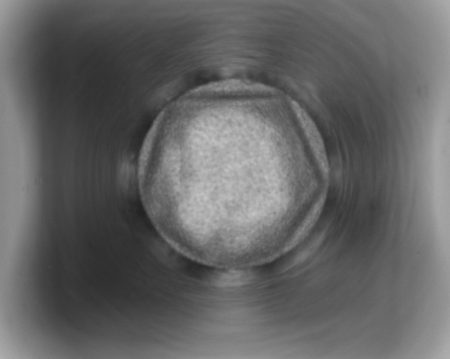 X0000103240527200809181546