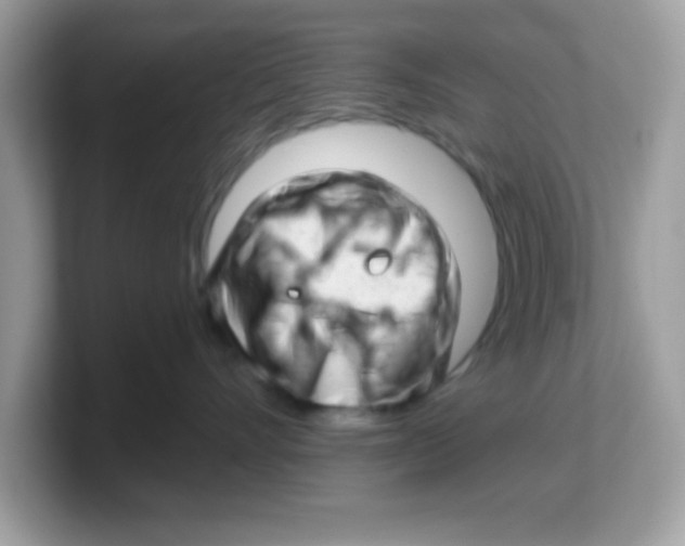 X0000103240528200809181546