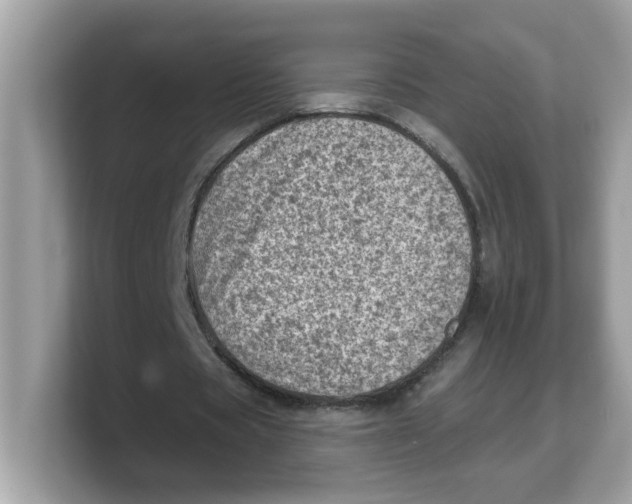 X0000103240529200809181546