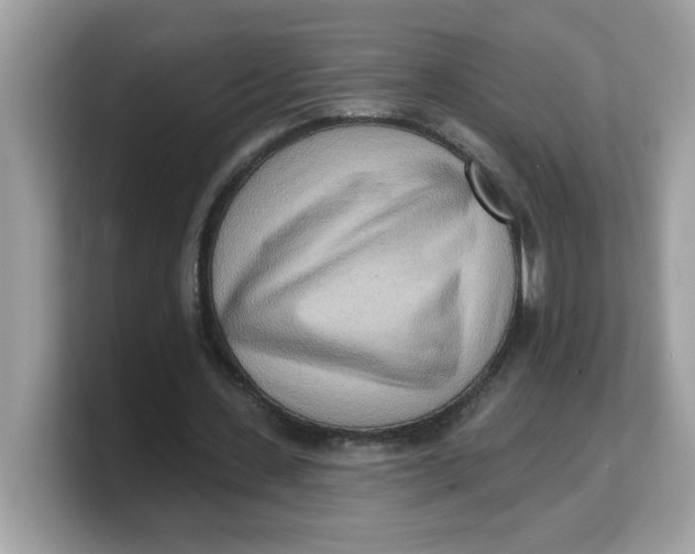 X0000103240531200809181546