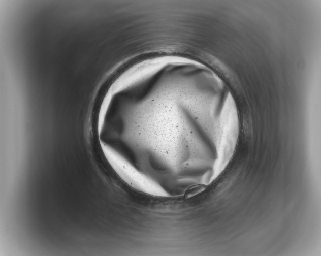 X0000103240532200809181546