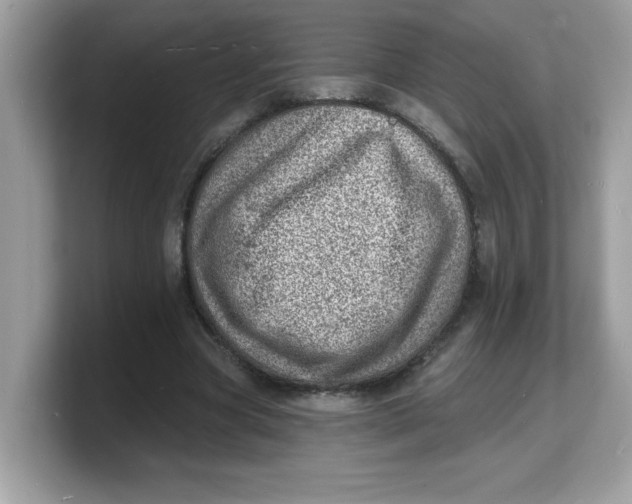 X0000103240537200809181546