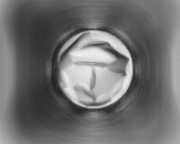 X0000103240540200809181546