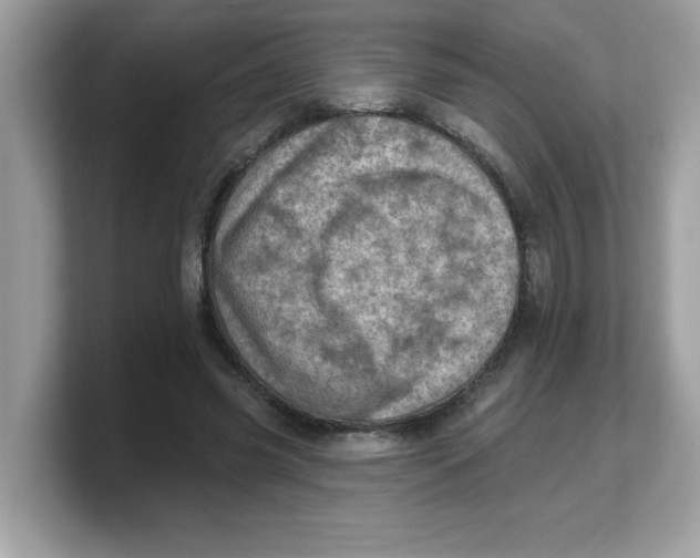 X0000103240541200809181546