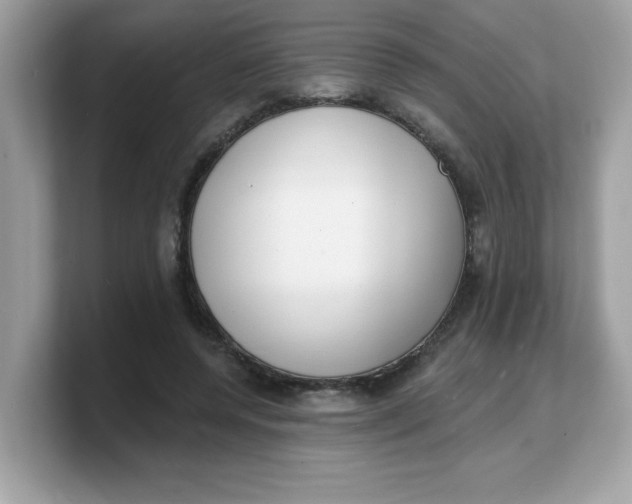 X0000103240544200809181546