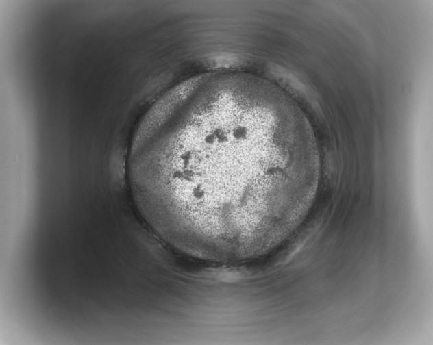 X0000103240545200809181546