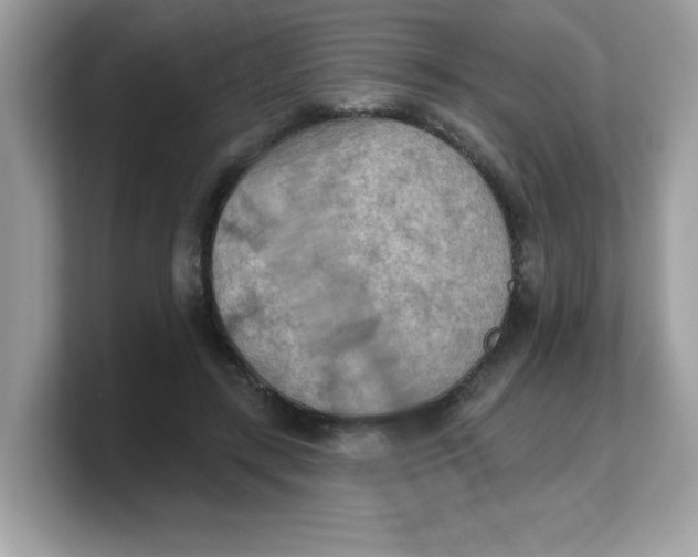 X0000103240547200809181546