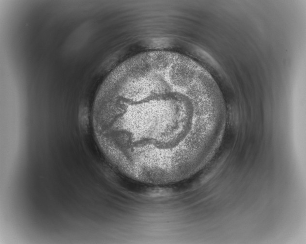 X0000103240549200809181546