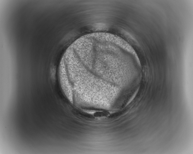 X0000103240550200809181546