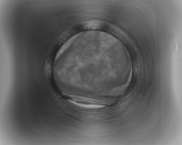 X0000103240551200809181546