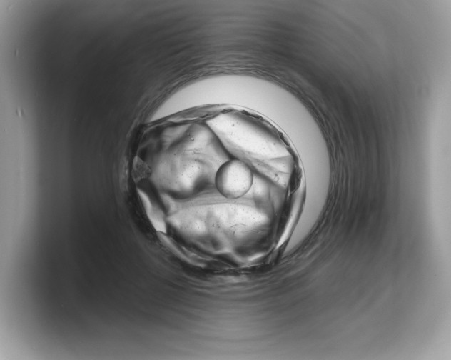 X0000103240552200809181546