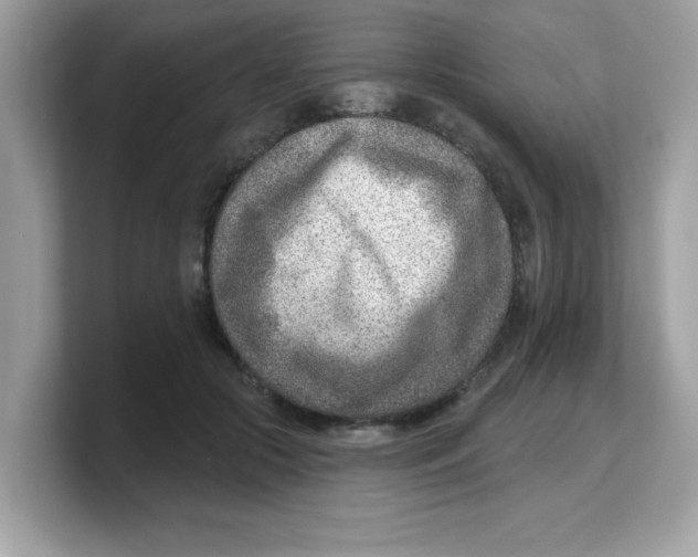 X0000103240553200809181546