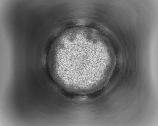 X0000103240554200809181546