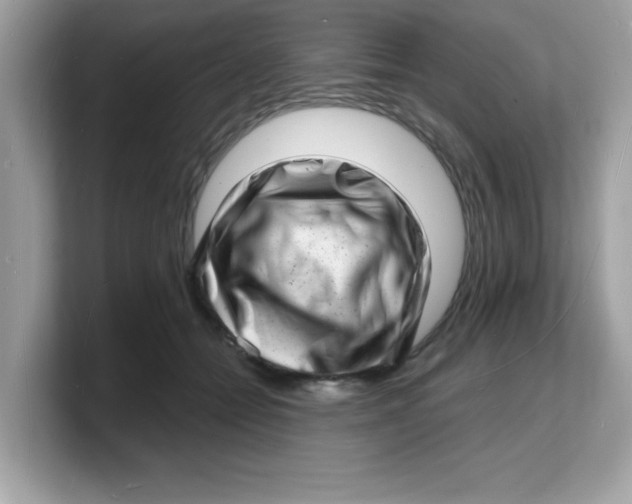 X0000103240558200809181546