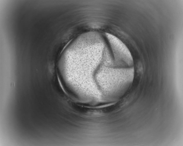 X0000103240559200809181546