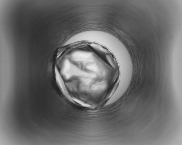 X0000103240560200809181546