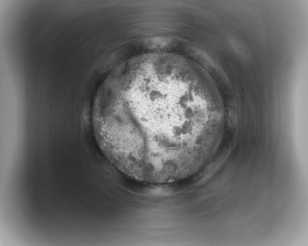 X0000103240561200809181546