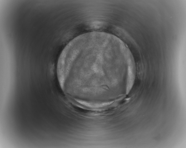 X0000103240563200809181546