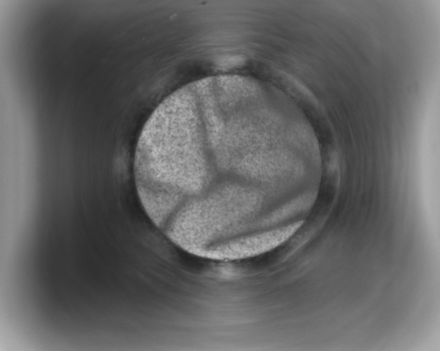 X0000103240565200809181546