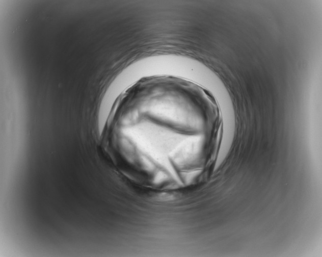 X0000103240566200809181546