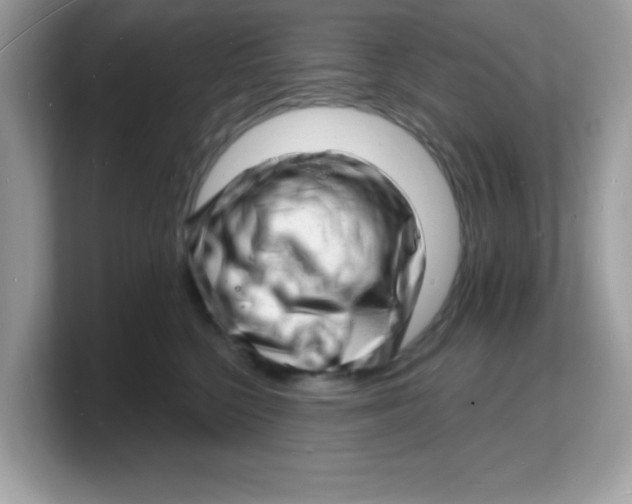 X0000103240568200809181546