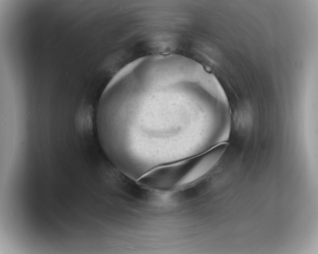 X0000103240570200809181546